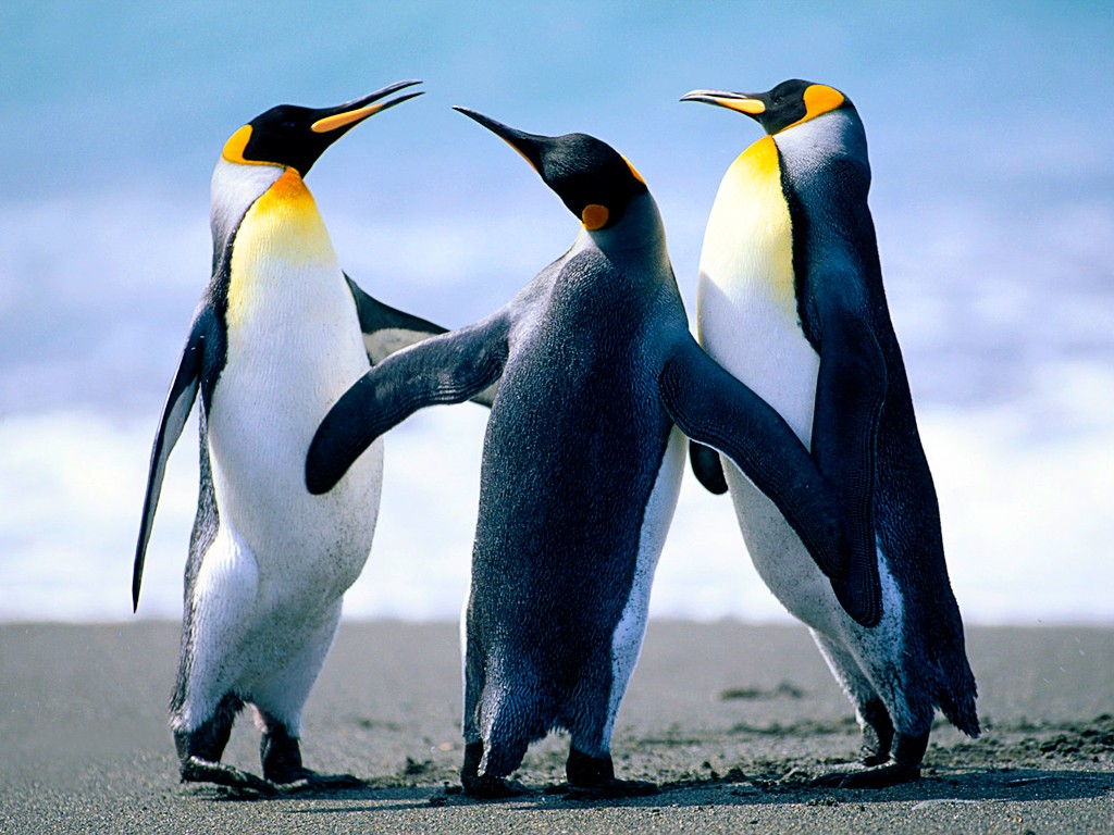 بنر کارفرما